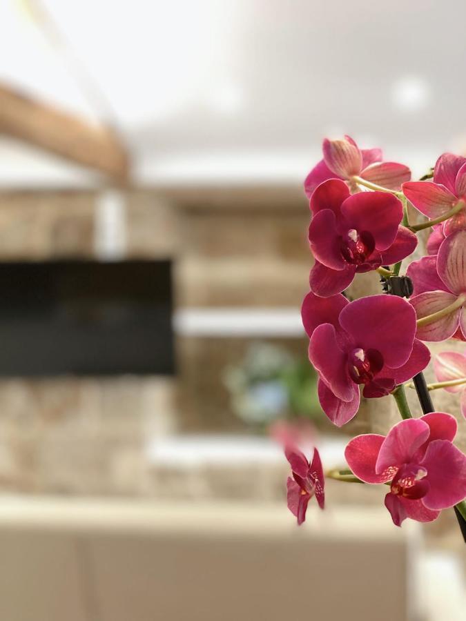 Celanova House المظهر الخارجي الصورة